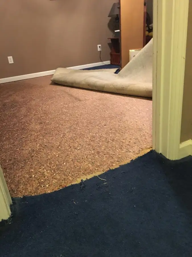Carpet pad removal revealing water damage during Drying & Dehumidification in Miramar